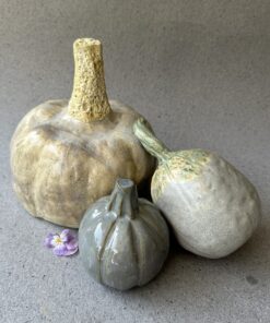 IMG 1300 scaled e1756051694532