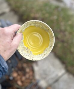 IMG 3250 1 scaled e1769345436124