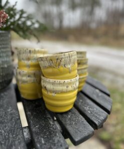 IMG 3254 1 scaled e1769345640965