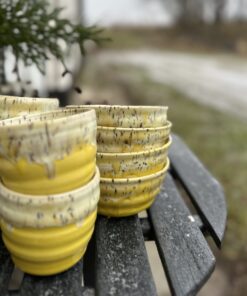 IMG 3255 1 scaled e1769345587217